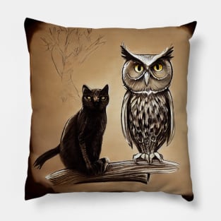 A Black Cat and an Owl, Friends Pillow