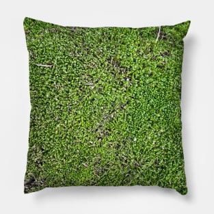 Green Moss Nature Forest Pillow