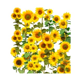 Sunflowers T-Shirt