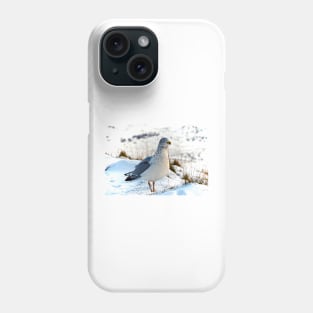 BY LAND AND SEA Phone Case