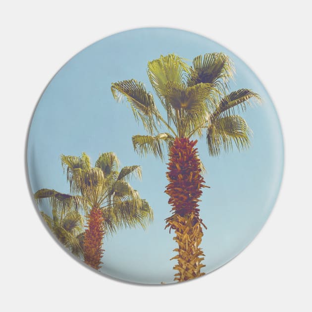 Pretty picture of a Palm Tree. Pretty Palm Trees Photography design with blue sky Pin by BoogieCreates