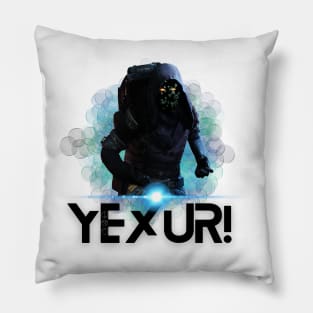 YEXUR! Pillow