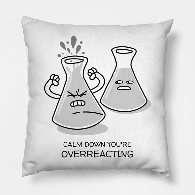 Chemistry Pun Pillow by GaroStudioFL