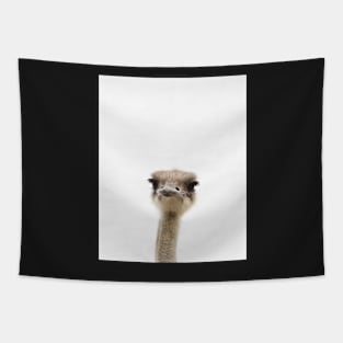 Ostrich print, Nursery decor, Kids room, Minimalist, Bird, Modern art, Wall art Tapestry