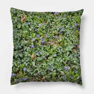 All Over Tiny Purple Flowers Pillow