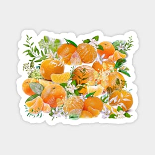 Tangerine Dreams Magnet