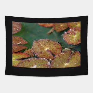 Lily Pad Tapestry