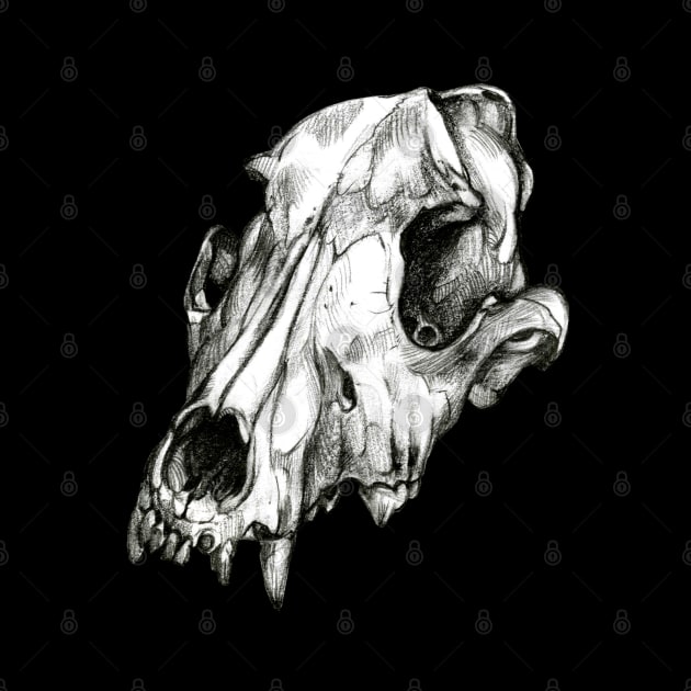 Canine Skull by Pip Tacla