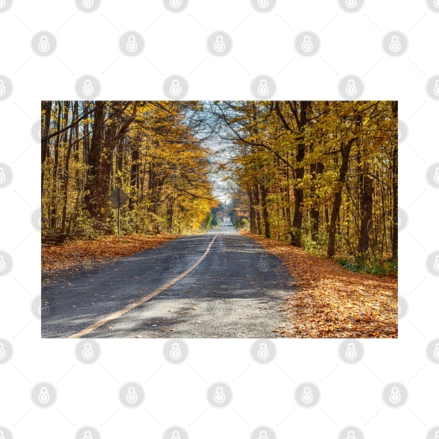 Fall Road 5 by Robert Alsop