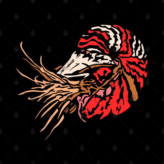 Nautilus design by artbyluko