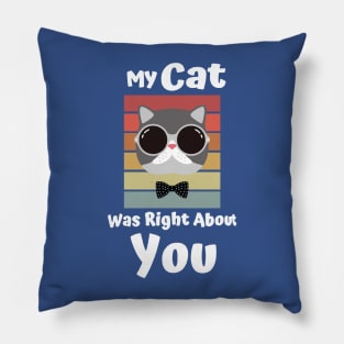 My Cat Was Right About You 2 Pillow