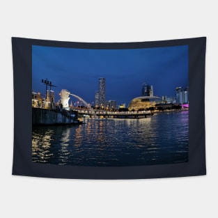 Singapore night view Tapestry