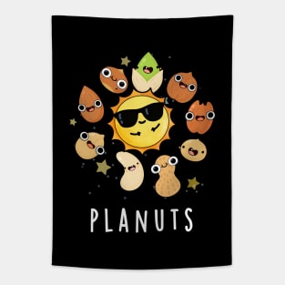 Planuts Funny Astronomy Nuts Pun Tapestry