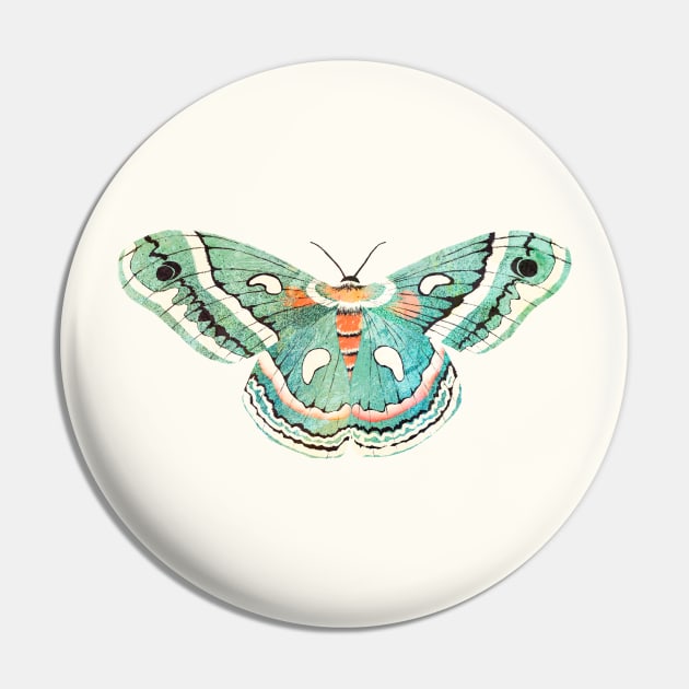 Blue Moth Pin by Lidiebug