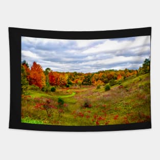 "Autumn Valley" Tapestry