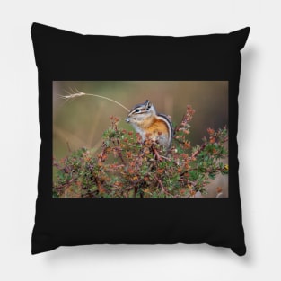 Chipmunk Pillow