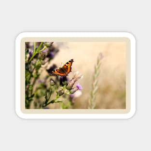 Small Tortoiseshell Butterfly Magnet