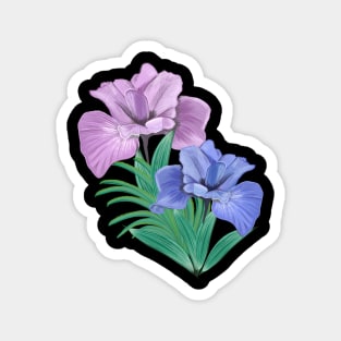 Hand drawn iris Magnet