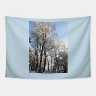 Frozen trees Tapestry