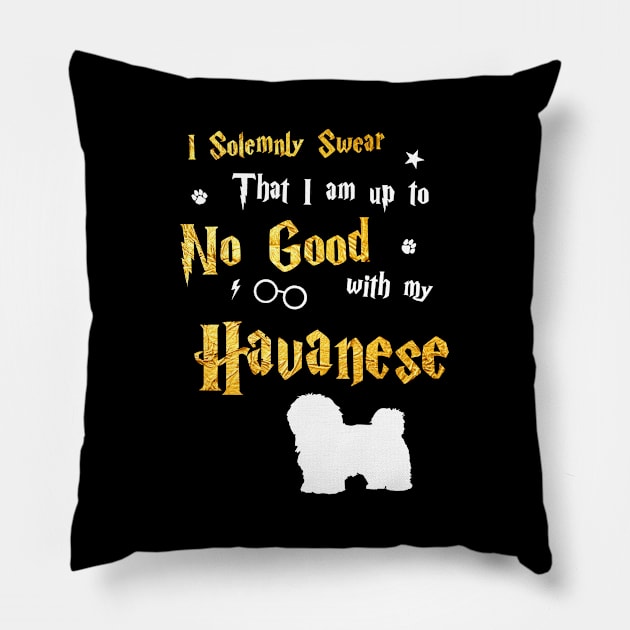 Havanese Pillow by dogfather