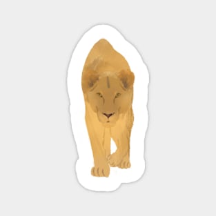 Watercolor Stalking Lioness Magnet