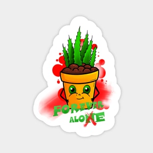 Aloe Magnet