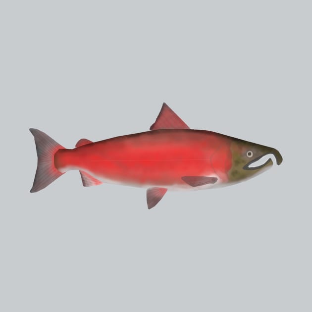 Coho Salmon - Spawn Phase by FishFolkArt