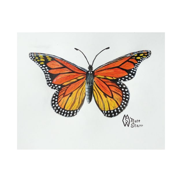 Monarch Butterfly by Matt Starr Fine Art