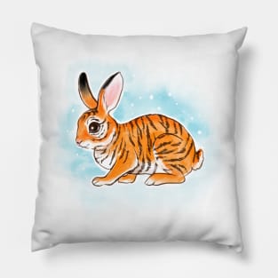 Year of the tiger and rabbit Pillow