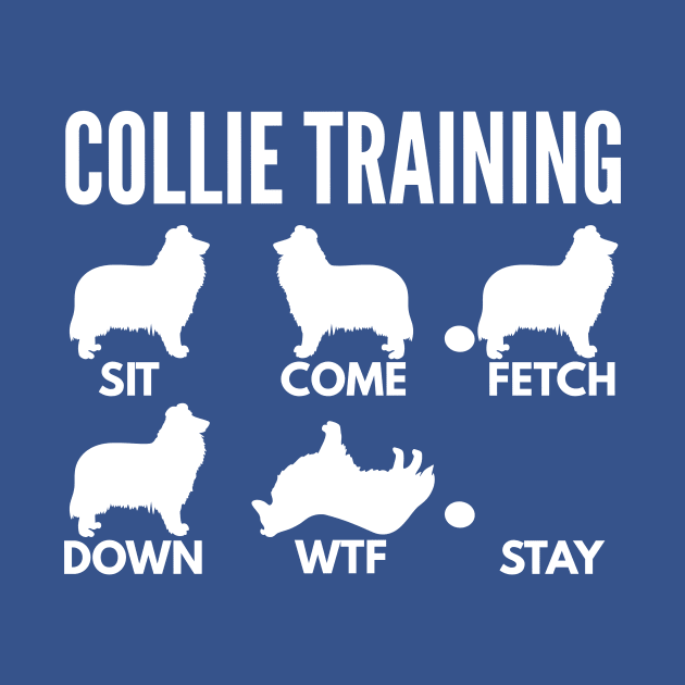 Rough Collie Training Rough Collie Dog Tricks by DoggyStyles