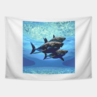 Shark Trio Tapestry