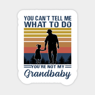 You Can't Tell Me What To Do You're Not My Grandbaby Magnet