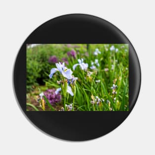 Blue Iris flower in the meadow Pin