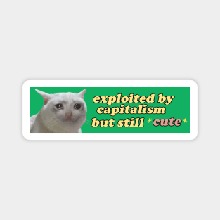 Exploited by Capitalism but Still Cute Bumper Sticker OR Magnet | Gen Z Sticker | Cute Cat Sticker | Sad Crying Cat Sticker | Magnet