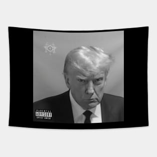 Never Surrender! - Donald Trump Mugshot Tapestry