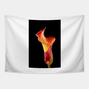 Twisted Shapely Calla liliy Tapestry