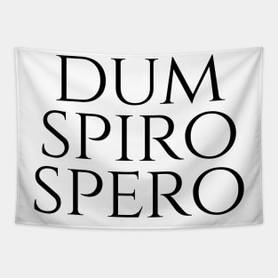 Dum Spiro Spero - While I Breathe I Hope Tapestry