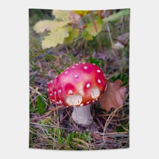 Amanita Muscaria Tapestry