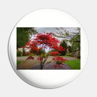 Red bush Pin