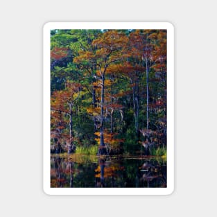 Autumn Trees Magnet