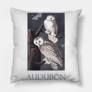 Snowy Owl by John James Audubon Pillow