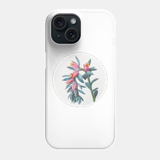 Succulent Cluster Phone Case