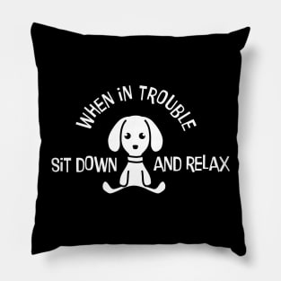 Funny Saying Funny Quote Pillow