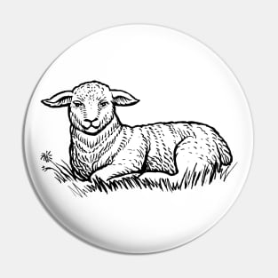 Sheep Sitting on grass hand drawn Pin