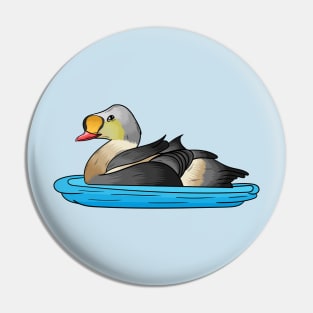 King eider bird cartoon illustration Pin