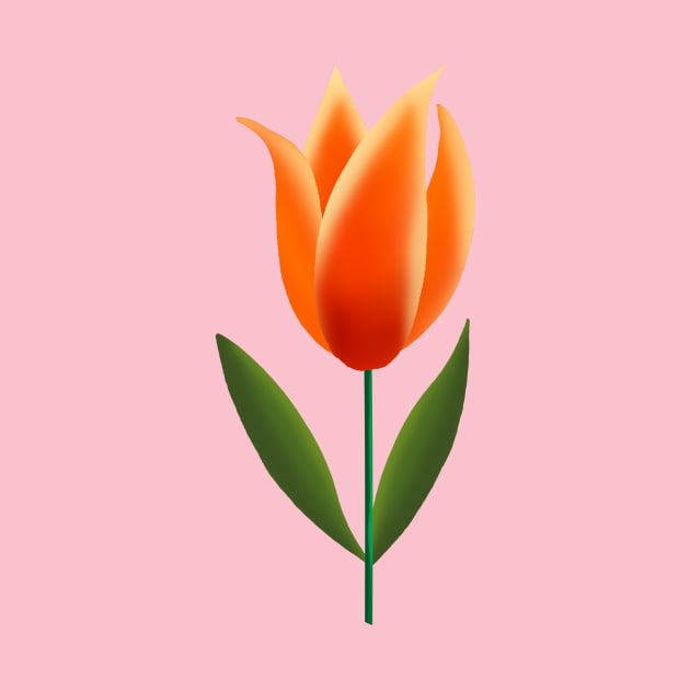 Orange Tulip by Scratch