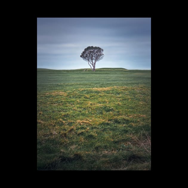 lone tree in the field by psychoshadow