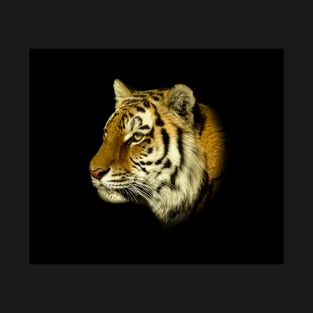 Tiger T-Shirt