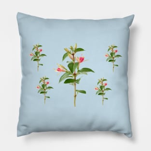 Fuchsia 'Princess Charlotte' Pillow