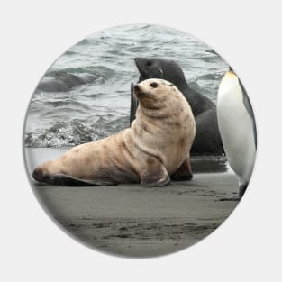 Animals of the Antarctic Pin